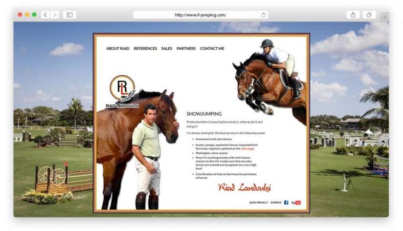 Website und Logo für Riad Landoulsi
